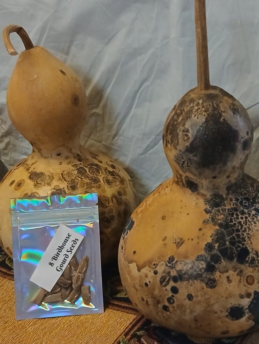 Birdhouse Gourd Seeds 8-14